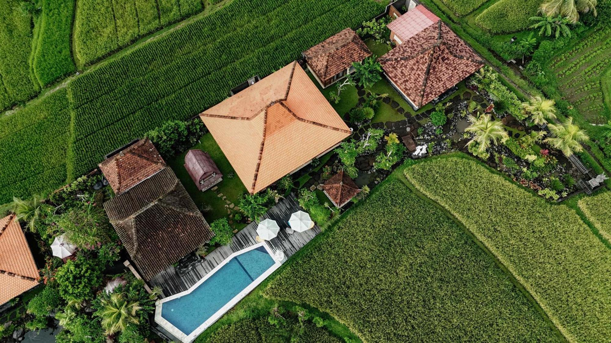Billys Ayodya Villa Perean エクステリア 写真