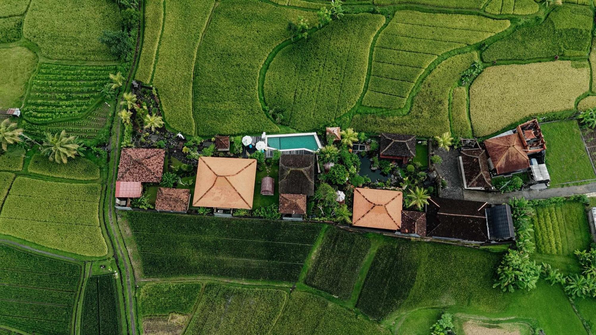 Billys Ayodya Villa Perean エクステリア 写真