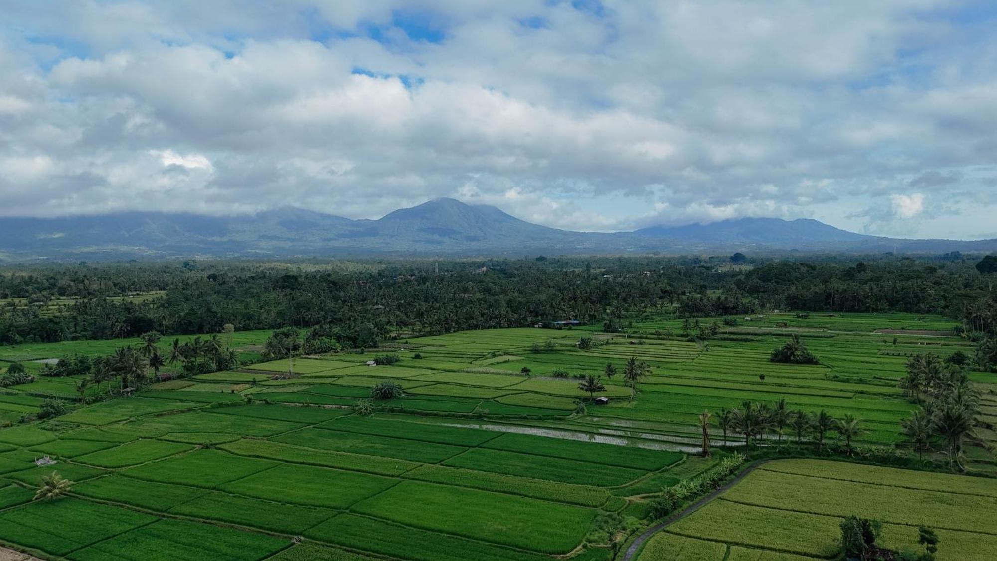 Billys Ayodya Villa Perean エクステリア 写真